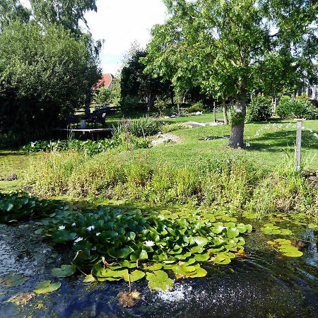 "Balmgarten" Im Naturpark Usedom, Bio Solarhaus Mit Grossem Garten Bagian luar foto