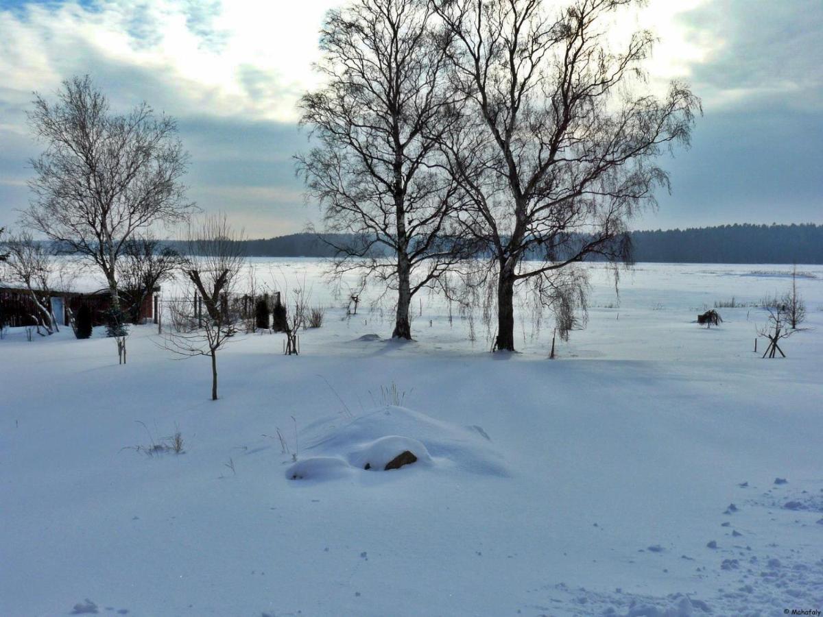 "Balmgarten" Im Naturpark Usedom, Bio Solarhaus Mit Grossem Garten Bagian luar foto