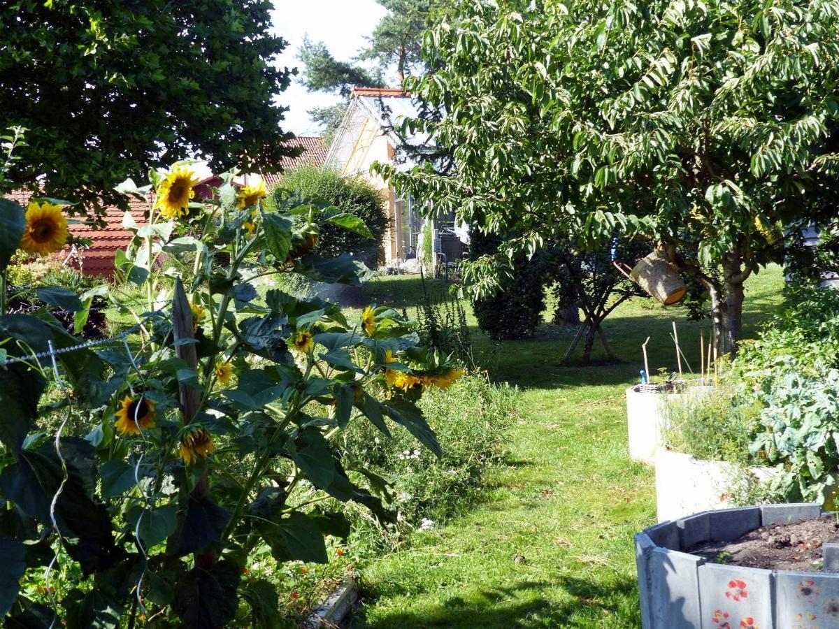 "Balmgarten" Im Naturpark Usedom, Bio Solarhaus Mit Grossem Garten Bagian luar foto