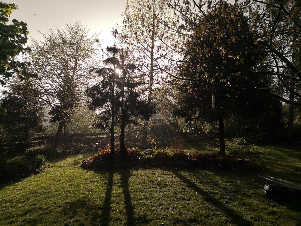 "Balmgarten" Im Naturpark Usedom, Bio Solarhaus Mit Grossem Garten Bagian luar foto