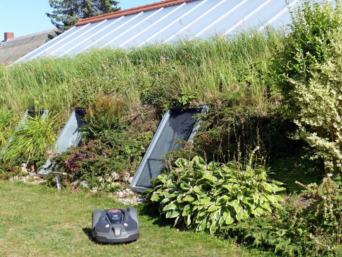 "Balmgarten" Im Naturpark Usedom, Bio Solarhaus Mit Grossem Garten Bagian luar foto