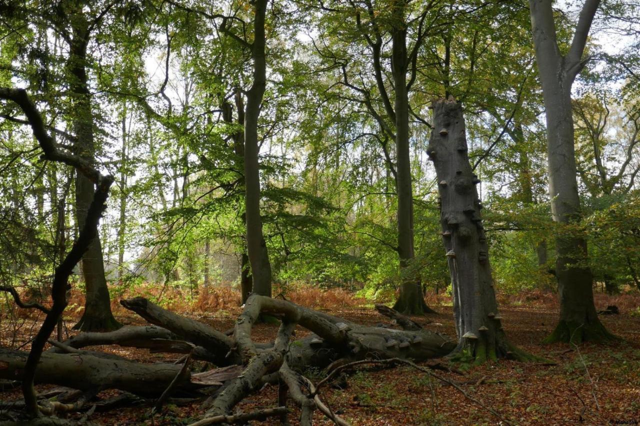 "Balmgarten" Im Naturpark Usedom, Bio Solarhaus Mit Grossem Garten Bagian luar foto