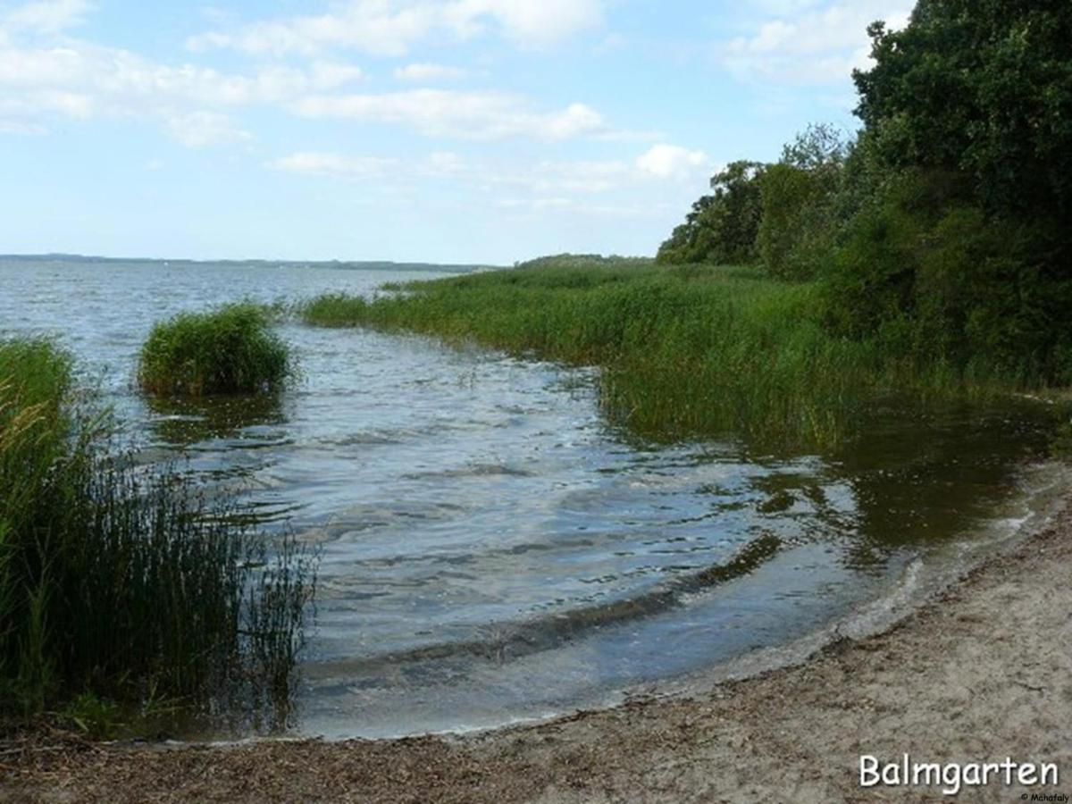 "Balmgarten" Im Naturpark Usedom, Bio Solarhaus Mit Grossem Garten Bagian luar foto