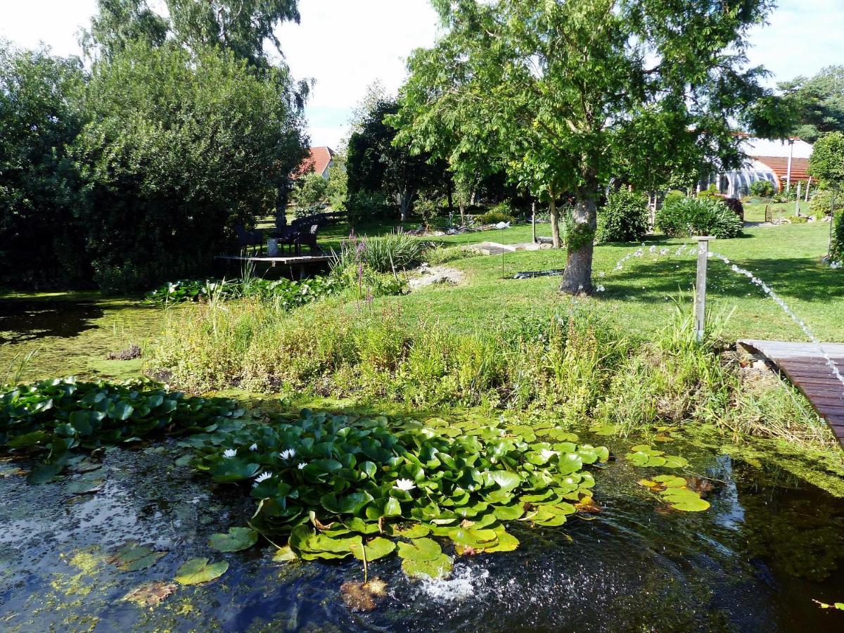 "Balmgarten" Im Naturpark Usedom, Bio Solarhaus Mit Grossem Garten Bagian luar foto